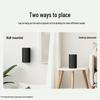 Sony SA-RS8 Rear Surround Speakers (CN version)