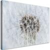 Canvas Print White Dandelion Flowers