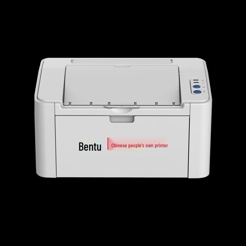 Pantum P2505N Монохромный лазерный принтер формата A4 Штепсель CN (адаптер в комплекте)