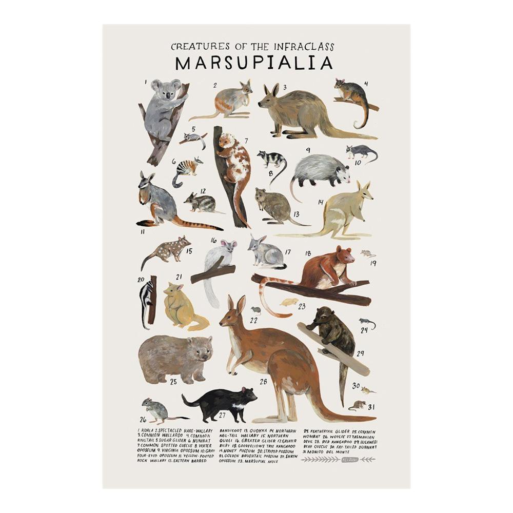 Абстрактные морские организмы медузы киты кальмары рыбы постеры холст картины и принты настенное искусство картина для комнаты домашний декор