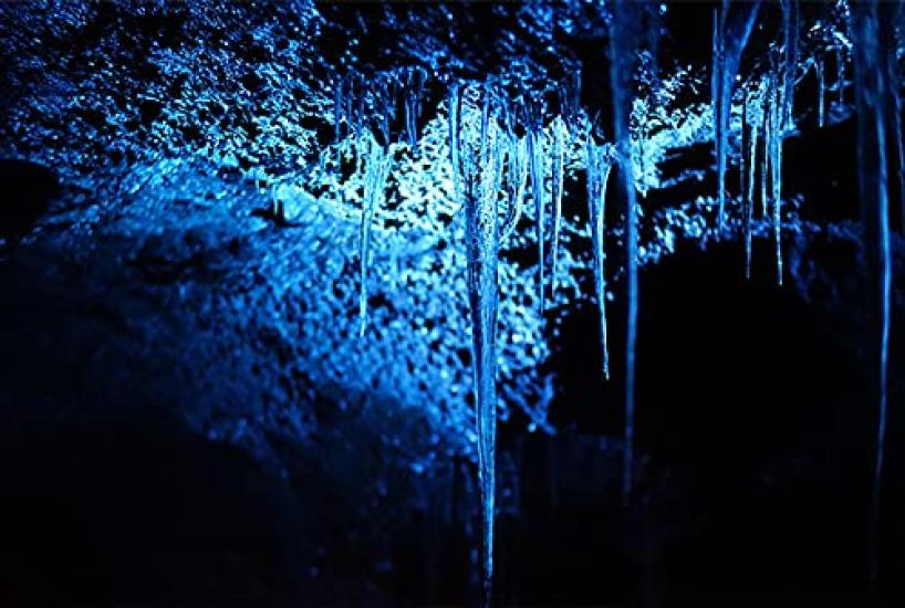 Zhong Yi Optics Zhong Yi Optics Creator 85mm Limited M55 Prime Lens EF [Japan] F2.0 (Full-Frame Compatible) (Canon Mount)