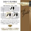 Sailor fountain pen Profit Standard 21 Черный Средний Пойнт 11-1521-420