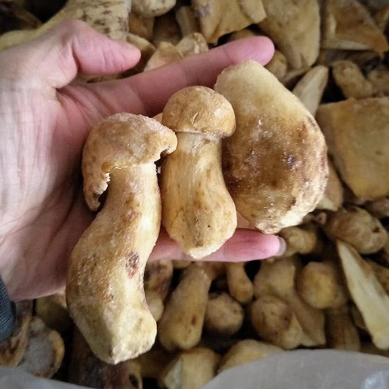 Yunnan Specialty Frozen White Boletus Mushroom for Hot Pot and Culinary Delicacies