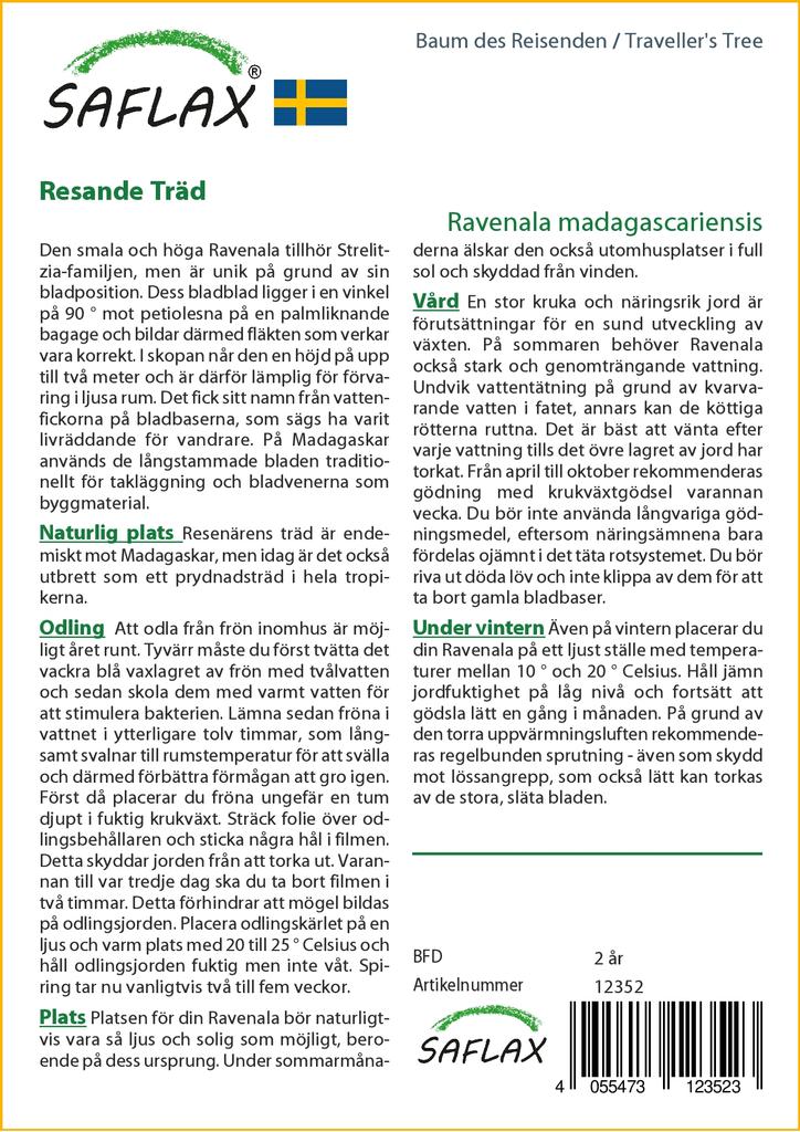 SAFLAX Дерево путешественника - 8 семян - Ravenala madagascariensis