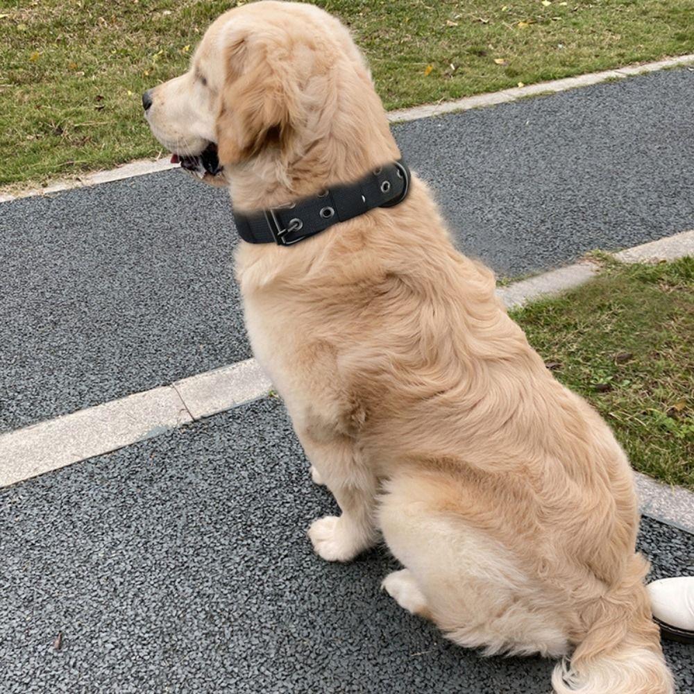 Household Quick Release Shepherd Training Rope Tactical Dogs Collar Dog Accessories Pets Collars