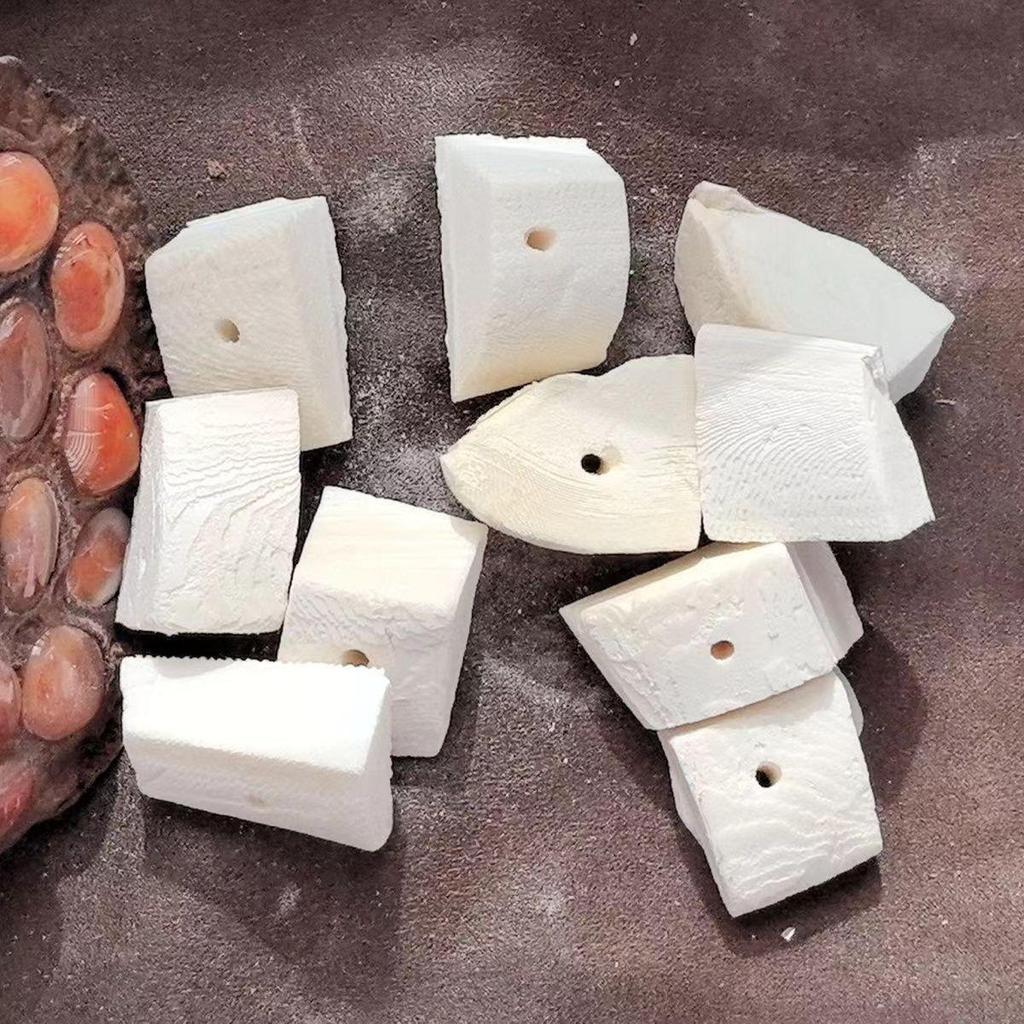 Шпажки из кости каракатицы: Корм для птиц, богатый кальцием, и жевательные игрушки для корелл, волнистых попугайчиков и белок - Бесплатная доставка