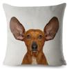 Милый домашний питомец собака миниатюрная такса принт наволочка 45*45 квадратные наволочки льняная наволочка диван домашний декор наволочки
