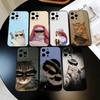 Забавный Милый Чехол для Телефона с Кошкой Для iPhone 17, 16,15,14,13,12,11 Plus,Pro Max, Других Мягкий Черный Чехол