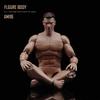 Toy Hobby Action Figure ANT AM116 Muscle Male Body and Head [TOYBARJAPAN] 1/12 Man's