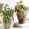 Vase Ceramic Creative Personality Succulent Flower Pot Porous Large Capacity Gradual Changecolor Chinese Garden Outdoor Ornament