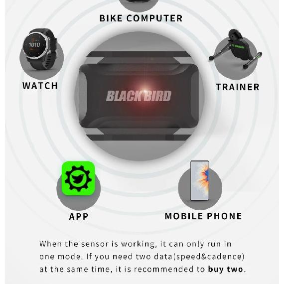 Black Bird Датчик частоты сердечных сокращений и каденса Скорость Спидометр ANT+ Bluetooth 5.0 Совместим с велокомпьютерами Garmin IGP Bryton