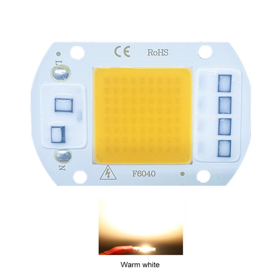RnnTuu 220 В светодиодный чип 20 Вт 30 Вт 50 Вт COB чип не требует драйвера светодиодные лампы для прожектора прожектора DIY освещение полный спектр