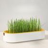 1Pc Hydroponic Cat Grass Box Treats Catnip Soilless Planting Pot Set for Easy Growth Soilless Cultivation Safety Material
