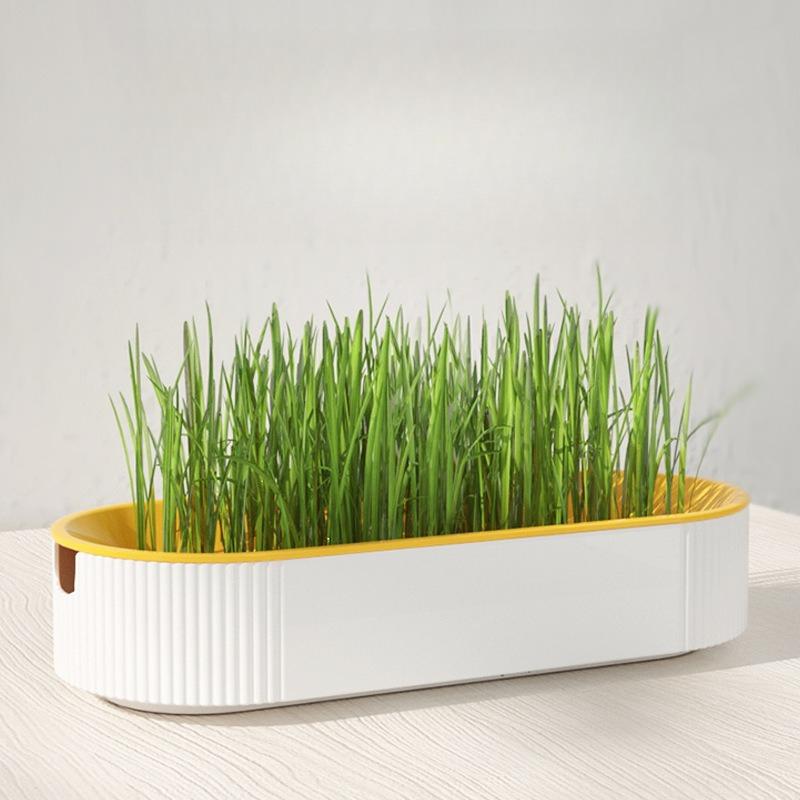 1Pc Hydroponic Cat Grass Box Treats Catnip Soilless Planting Pot Set for Easy Growth Soilless Cultivation Safety Material