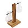 Creative Hydroponic Glass Desktop Light Bulb Vase Wooden Bracket Hydroponic Plant Container Home Desktop Decoration Vase
