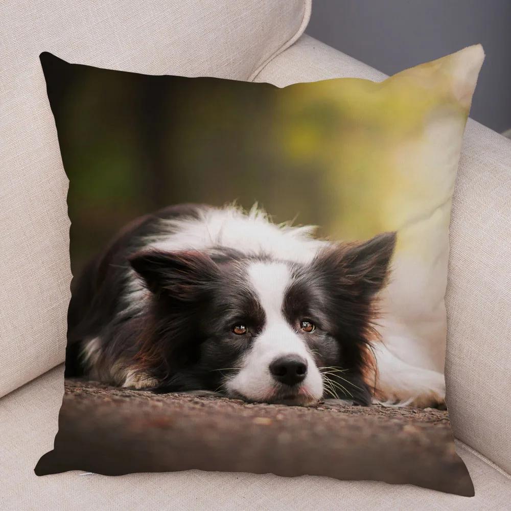 Soft Plush Cute Pet Animal Cushion Cover Scotland Border Collie Pillowcase for Sofa Car Decor Dog Printed Pillow Case