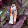 Uncut Rough Gemstone 283.85 Carat Natural Orange Sapphire   Raw Rough