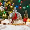 Nature's Birds Crystal Glass Ornament Clear Plastic Bird Christmas Ball Ornament Xmas Tree Memorial Gifts for Holiday Indoor Home Decor