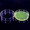 HAISIDK Thickened Borosilicate Glass Petri Dish