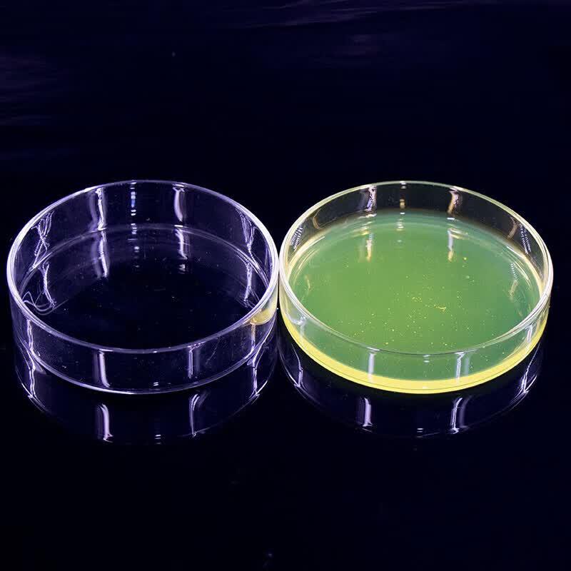 HAISIDK Thickened Borosilicate Glass Petri Dish