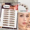 Mengjie Glue-Free Double-Tail Butterfly False Eyelashes - Natural Brown, 2025 New Style