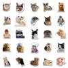 10/50PCS Cat MEME Funny Animals Stickers Vintage Toy DIY Kids Notebook Luggage Motorcycle Laptop Refrigerator Decals Graffiti