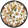 Butterfly Wooden Jigsaw Puzzle High Quality Irregular Shape Animal Puzzles 3D Party Game Christmas Gift For Kids And Adults