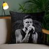 Наволочка Singer L_Liam Payne Диванная Короткий Плюш Двусторонняя HD Печать Комната Домашний Офис Подарок Чехол для Подушки