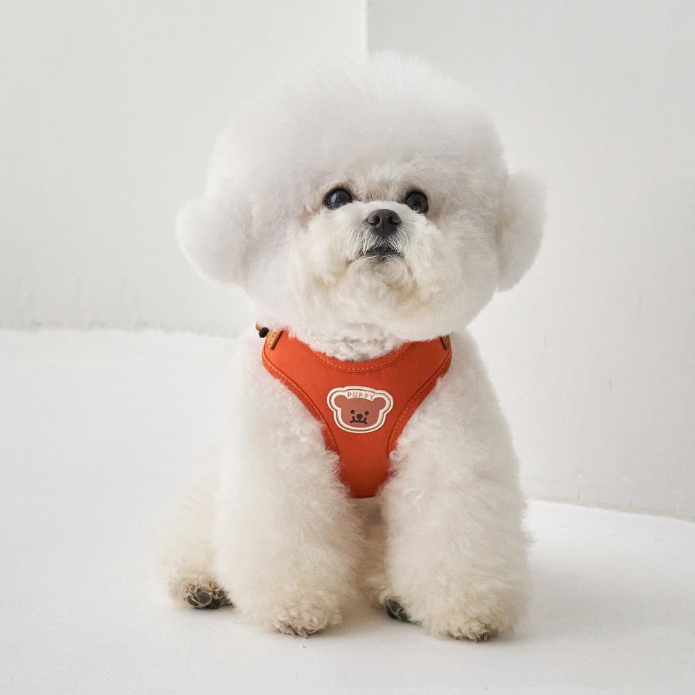 Adjustable Dog Harness and Leash for Small To Medium Breeds, Chest Strap and Chain Set for Teddy Dogs