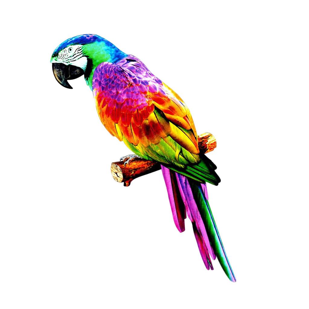 Handcrafted Parrot Sculpture for Outdoor And Indoor Decor