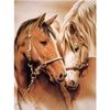 Full 5D Diy Diamond Painting Animal Horse Diamond Embroidery Cross Stitch Home Decor Handmade Gift