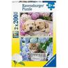 Puzzle - RAVENSBURGER - Chiens Et Chaton - 2x200 Pièces - Pour Enfants À Partir De 8 Ans - Éducatif Et Ludique