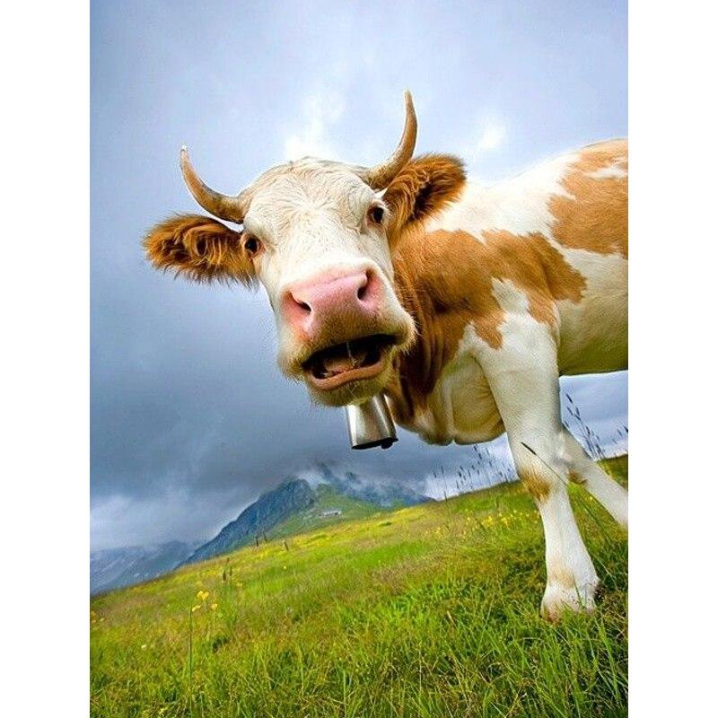 DIY 5D алмазная живопись полный круглый стразы корова вышивка крестом ферма животных мозаика Алмазная вышивка стены книги по искусству домашний декор