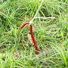16Pcs Aluminum Alloy Tent Peg Sharp Tip Heavy Duty Bright Color Lightweight Outdoor