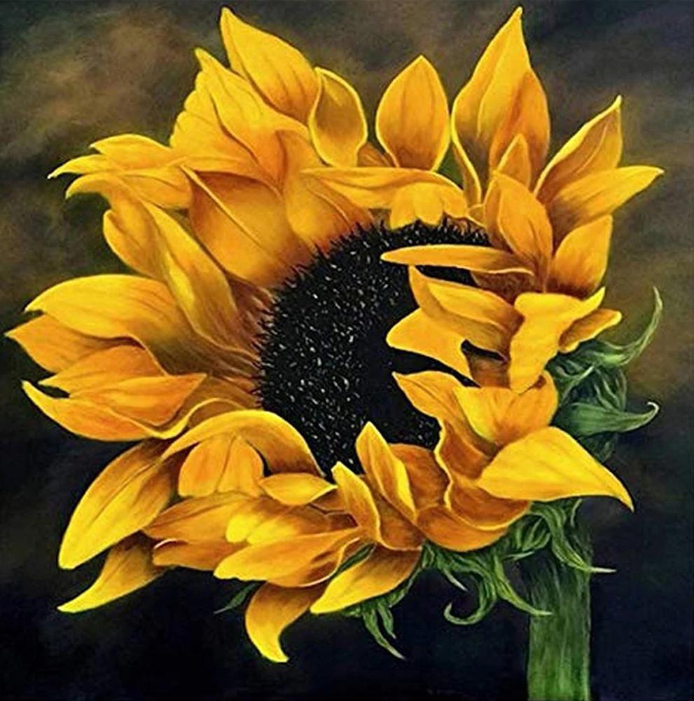 5D Diy алмазная живопись животное Сова Алмазная вышивка пейзаж закат мозаика вышивка крестиком украшение дома Рождественский подарок