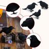 Black Crow Ornament, Plastic Desktop Decoration For Gifts Party Decor