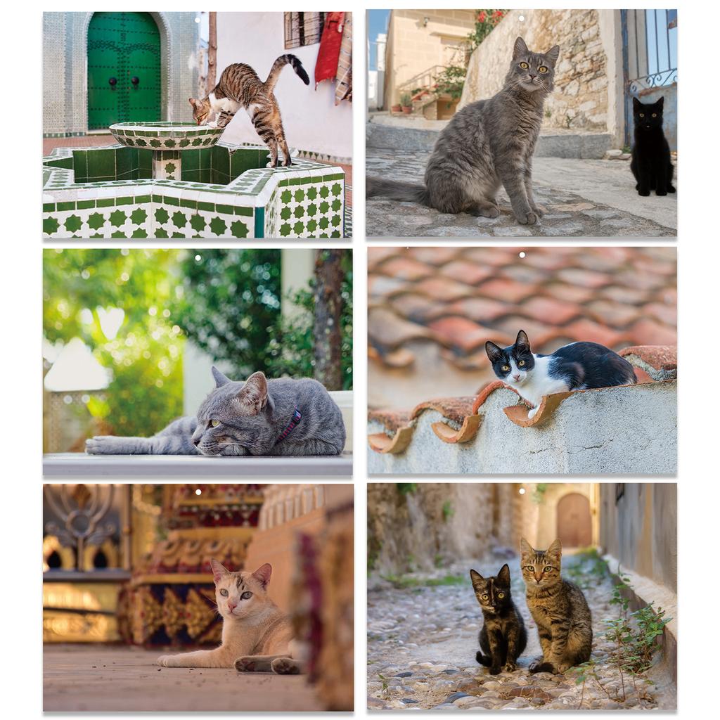 2026 Themed Wall Calendar English Monthly Calendar With 16 HD Photos