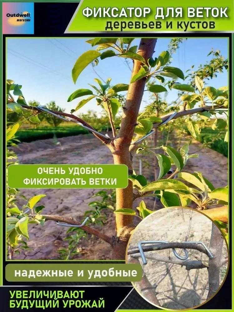 Устройство для оттягивания ветвей плодовых деревьев, разделения боковых ветвей, формирования, сгибания и прижимания ветвей