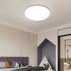 Modern LED Ceiling Light, Circular Ultra-thin Energy-saving Lamp, Bedroom and Living Room 48W 36W 24W 18W Indoor Home Light
