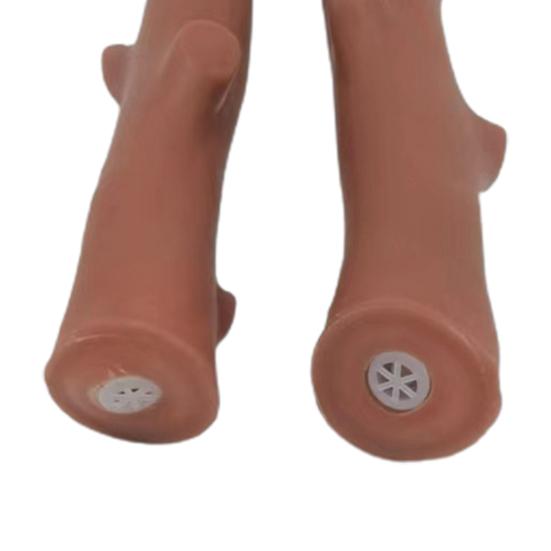 Жевательная игрушка для собак, устойчивая к укусам, в форме ветки, скрипучая игрушка для домашних животных, моющаяся многоразовая игрушка для чистки зубов, товары для домашних животных