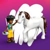 LEGO Friends Animal Clinic 42696 Toy for Boys and Girls