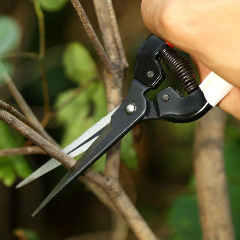 SK5 Steel Sharp Blade Point Head Garden Scissors Flowers Pruner Fruit Branch Pruning Tool Cutter For Bonsai Plants