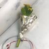 Bouquet Brooch Lightweight Alloy Vase Silhouette Insert Real/Dried Flowers Wearable Art Pin Polished Metal Finish Badge