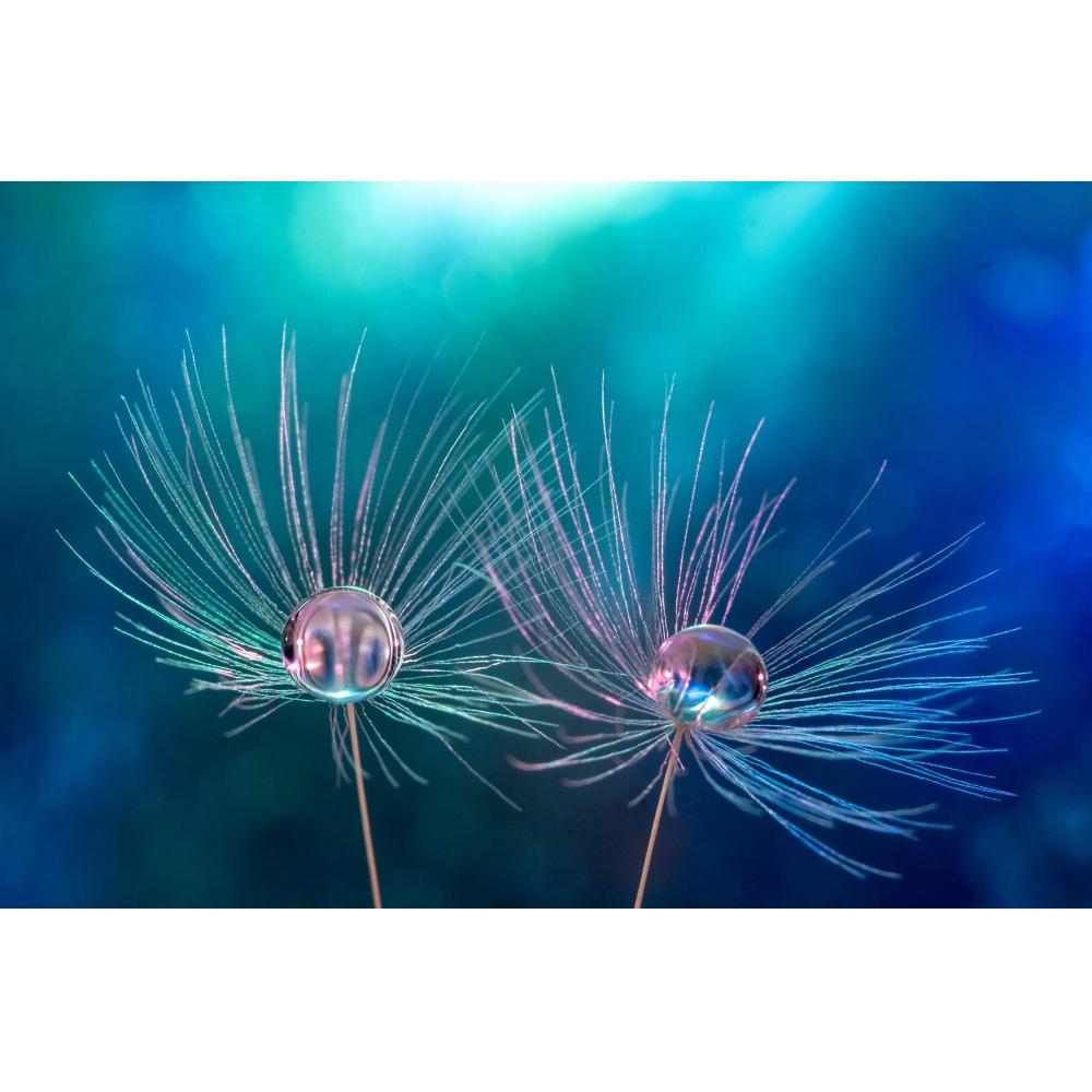 Объектив 7Artisans 60 мм F2.8 Macro E с байонетом Sony E APS-C, черный