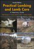 Книга Practical Lambing and Lamb Care : A Veterinary Guide