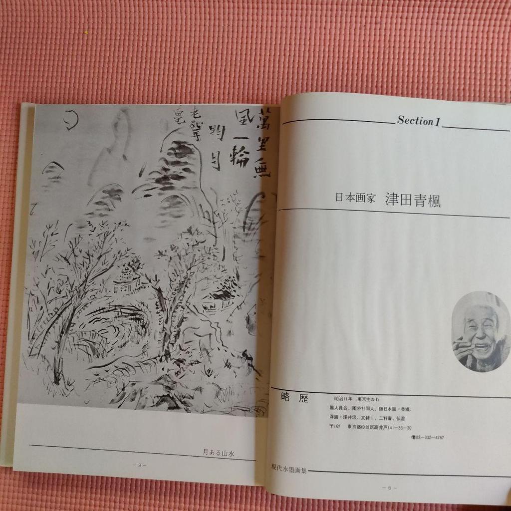 [USED] Retro & Rare Modern Ink Paintings by Geijutsu Shunjusha