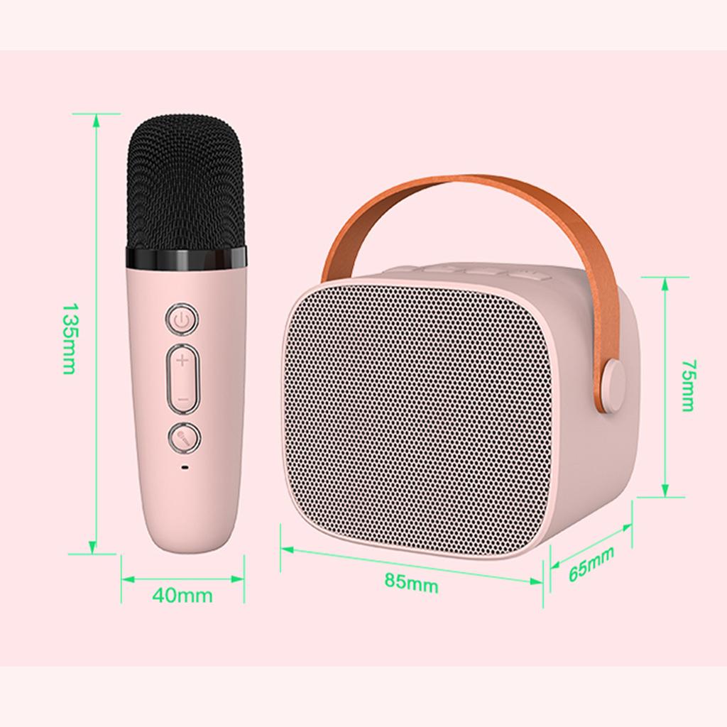 Мини-караоке-динамик BT для караоке с беспроводными микрофонами для домашней вечеринки для взрослых и детей