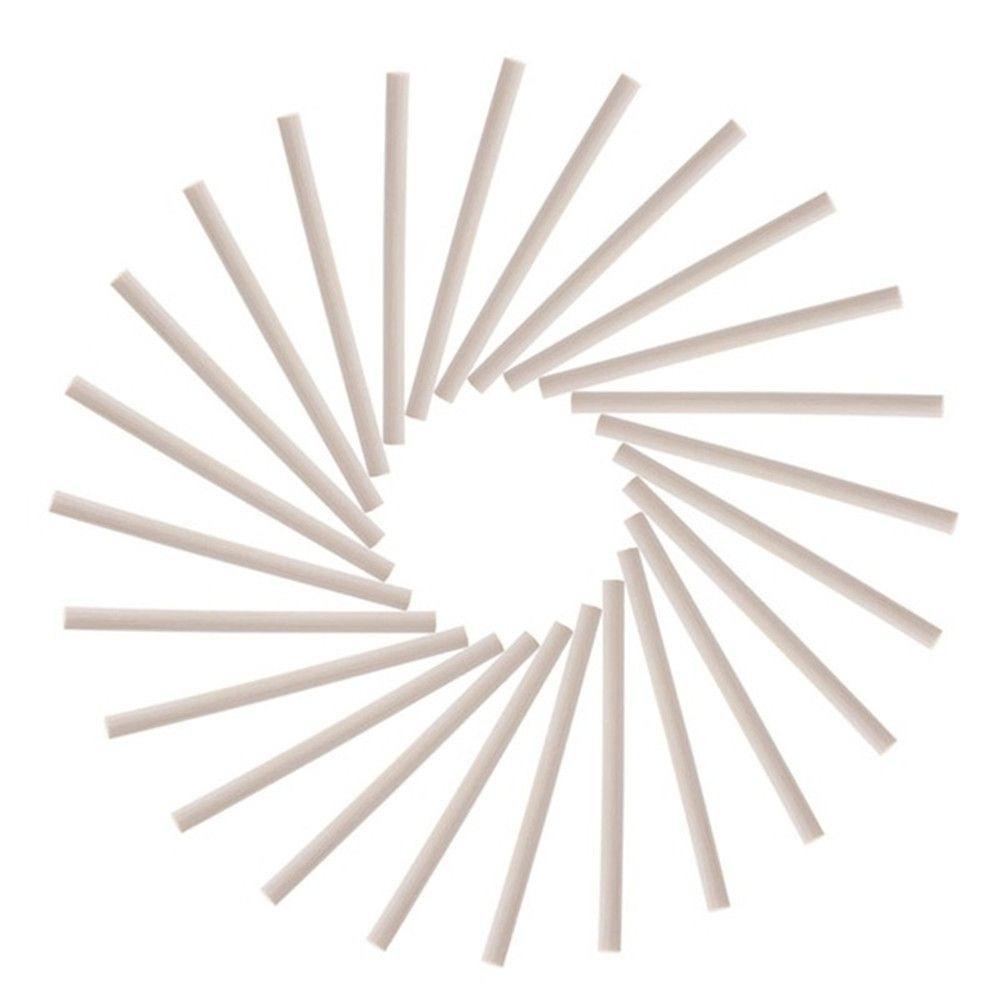 10PCS Woodworking Round Wooden Rods Birch Educational Toys New Wooden Diy Craft