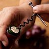 Multifunctional Stainless Steel Metal Corkscrew Wine Beer Bottle Cap Opener 1pc ADM