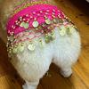 Dog Belly Dance Costume Corgi Dog Waist Chain Butt Curtain Clothes with